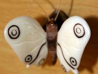 Farfalla bianca